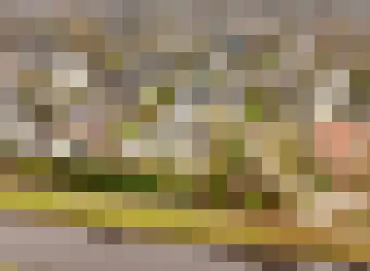 Lisdodde 12 Hoogeveen thumbnail 5