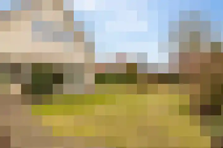 Lisdodde 12 Hoogeveen thumbnail 50