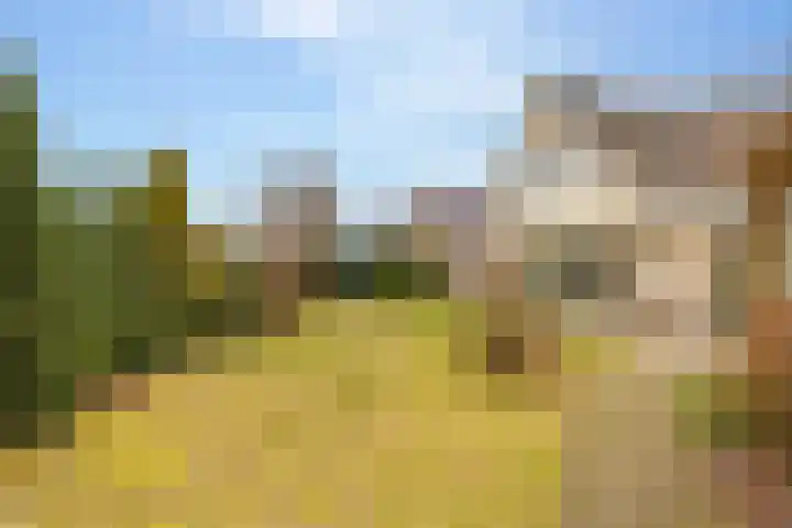 Lisdodde 12 Hoogeveen thumbnail 51