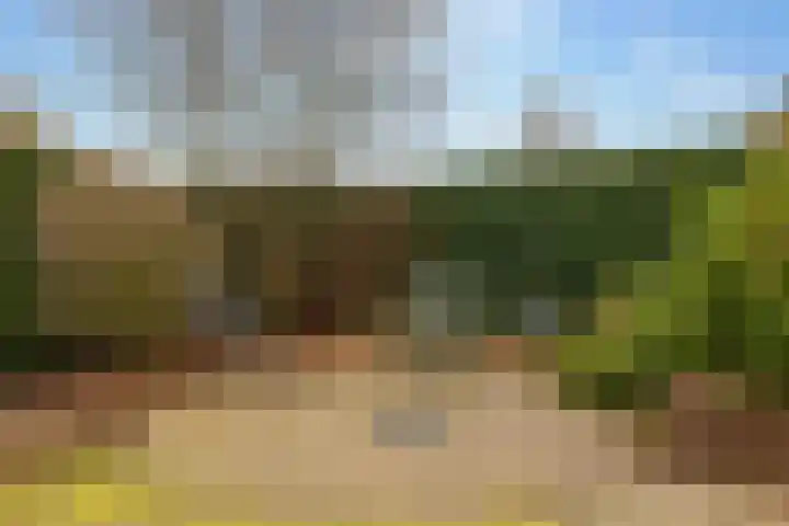 Lisdodde 12 Hoogeveen thumbnail 52