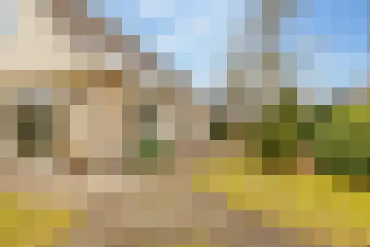 Lisdodde 12 Hoogeveen thumbnail 53