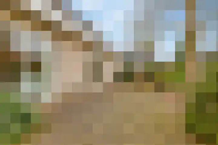 Lisdodde 12 Hoogeveen thumbnail 54