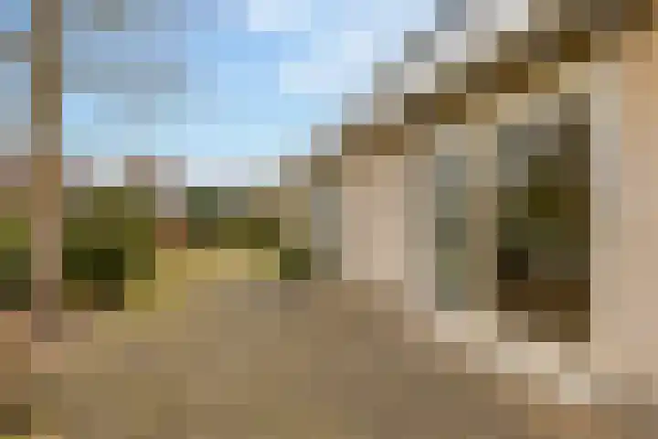 Lisdodde 12 Hoogeveen thumbnail 55