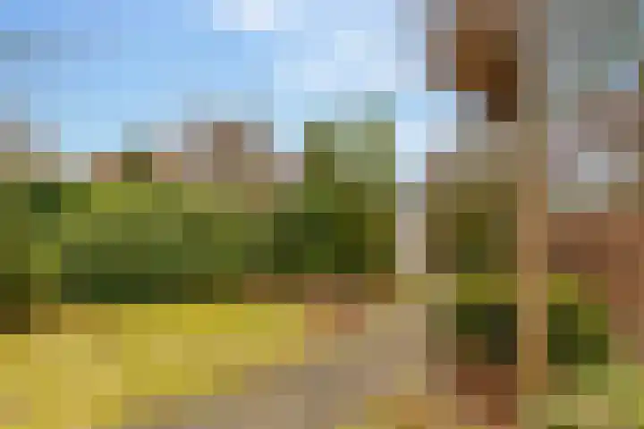 Lisdodde 12 Hoogeveen thumbnail 56