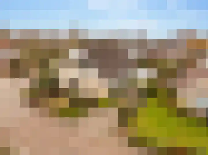 Lisdodde 12 Hoogeveen thumbnail 57