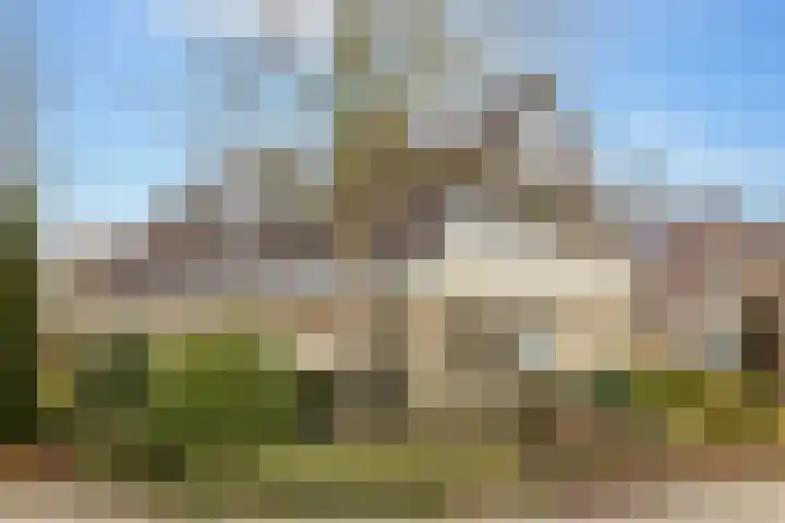 Lisdodde 12 Hoogeveen thumbnail 59