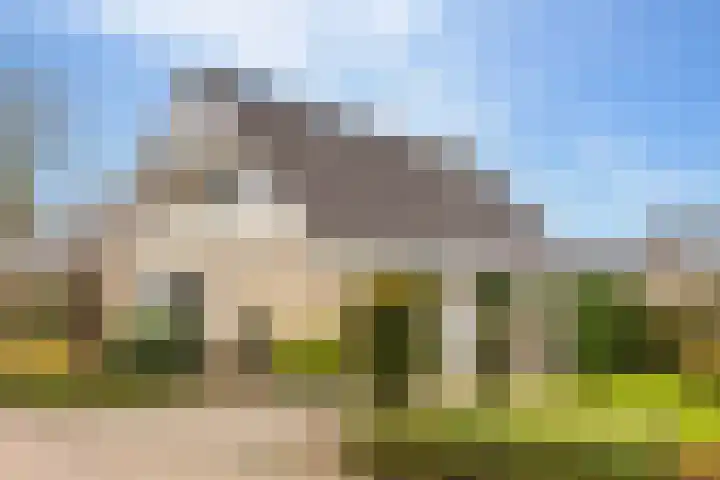 Lisdodde 12 Hoogeveen thumbnail 6