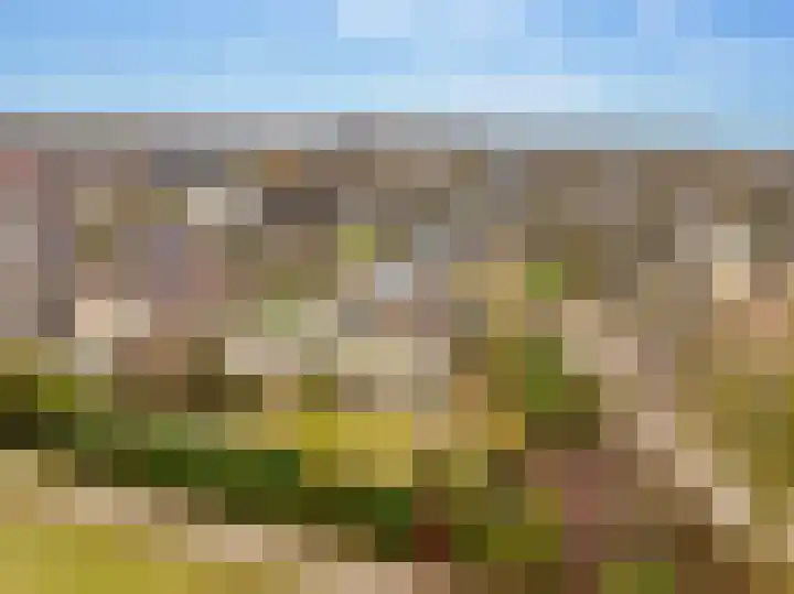 Lisdodde 12 Hoogeveen thumbnail 60