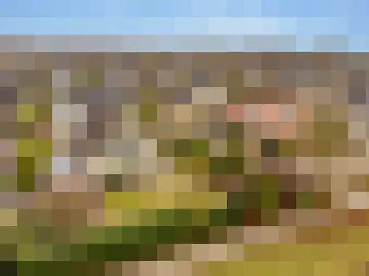 Lisdodde 12 Hoogeveen thumbnail 61