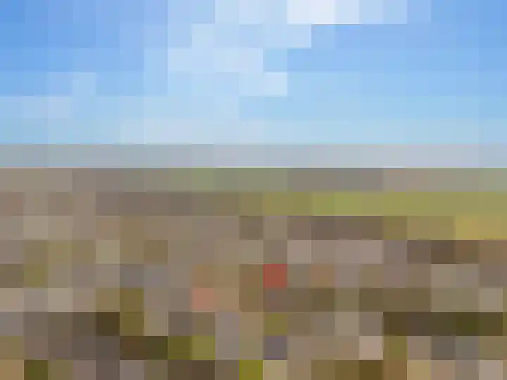 Lisdodde 12 Hoogeveen thumbnail 62