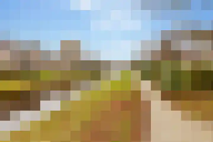 Lisdodde 12 Hoogeveen thumbnail 63