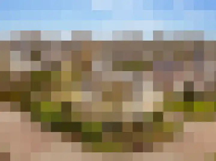 Lisdodde 12 Hoogeveen thumbnail 7