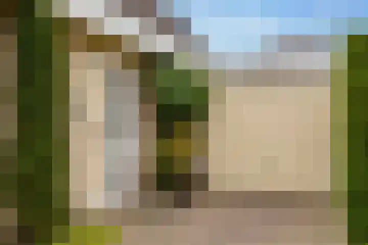 Lisdodde 12 Hoogeveen thumbnail 8