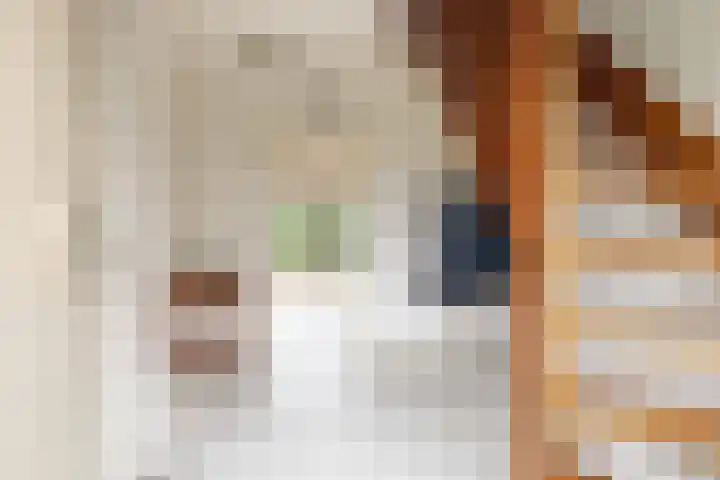 Lisdodde 12 Hoogeveen thumbnail 9