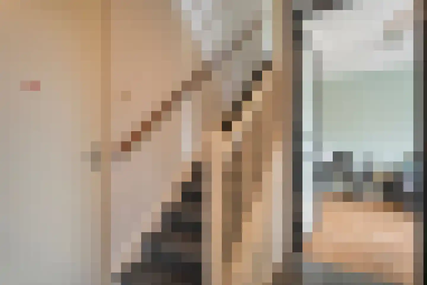 Lisdodde 12 Meppel thumbnail 10