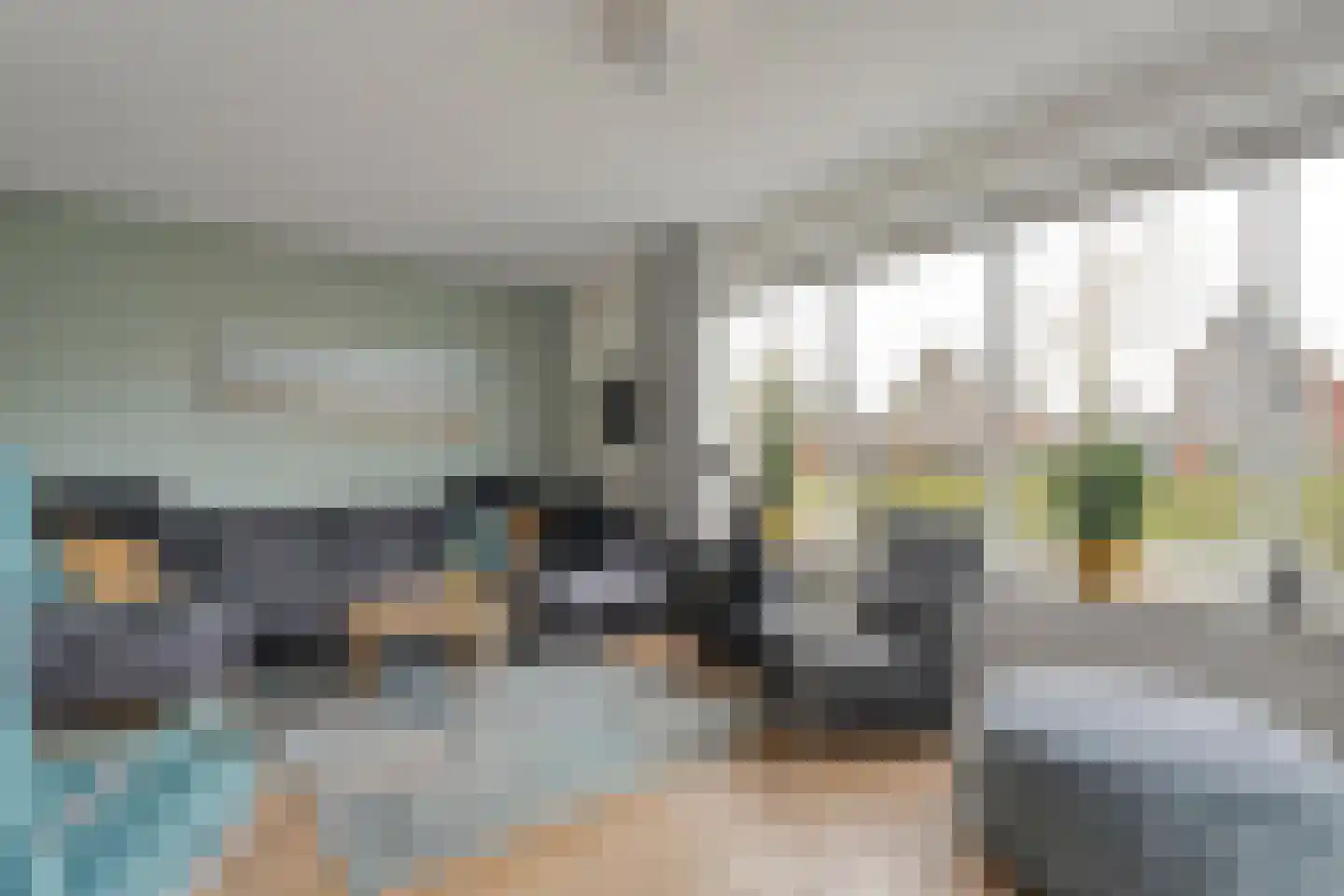Lisdodde 12 Meppel thumbnail 13