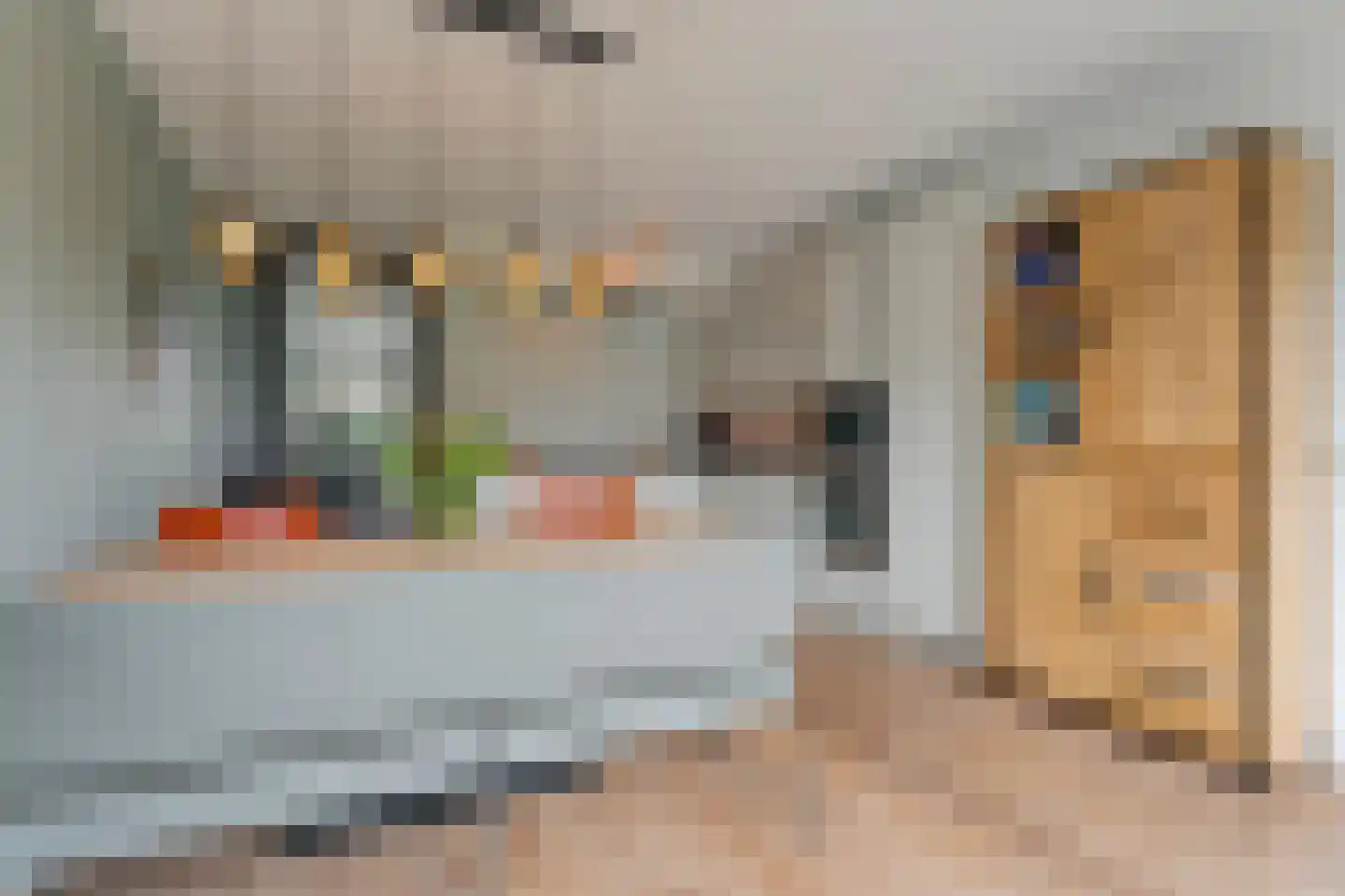 Lisdodde 12 Meppel thumbnail 18