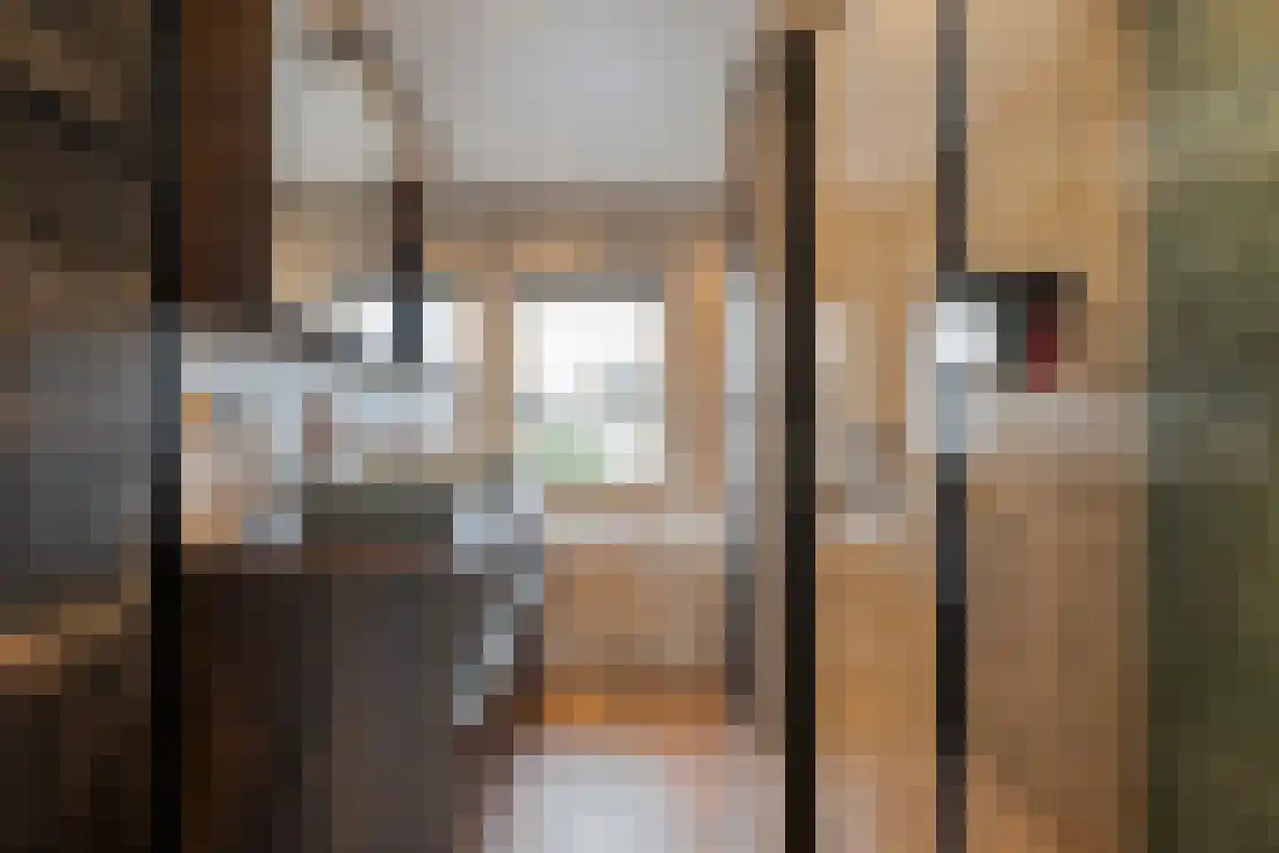 Lisdodde 12 Meppel thumbnail 23