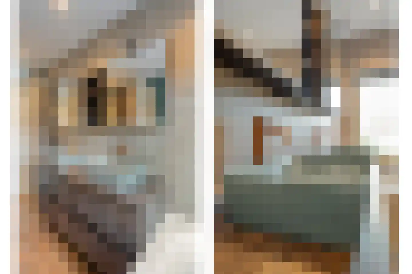 Lisdodde 12 Meppel thumbnail 24
