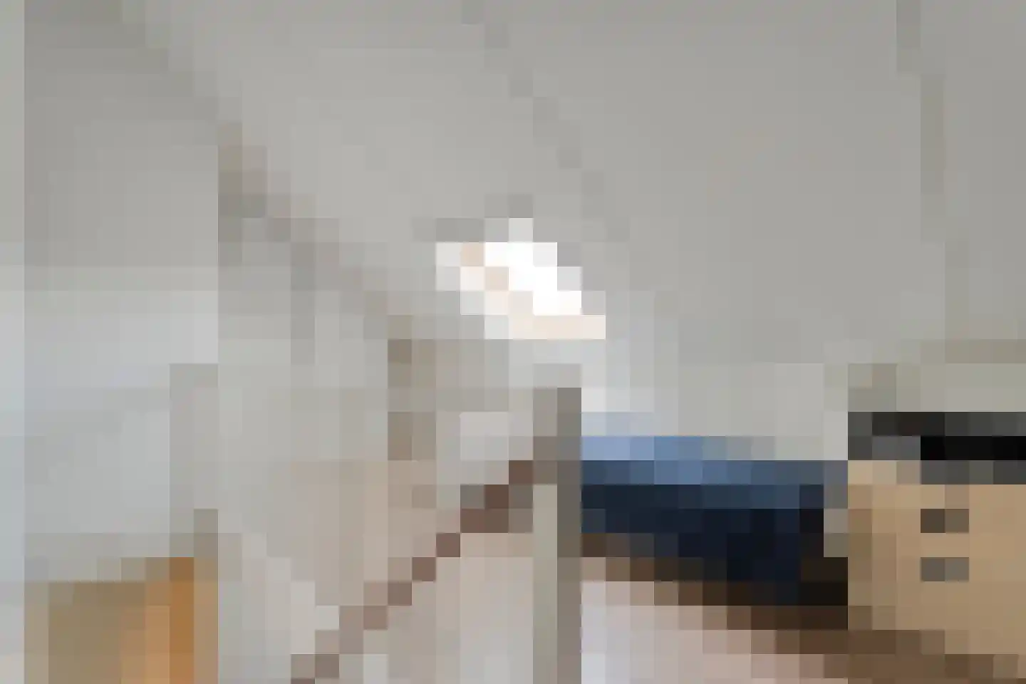 Lisdodde 12 Meppel thumbnail 30