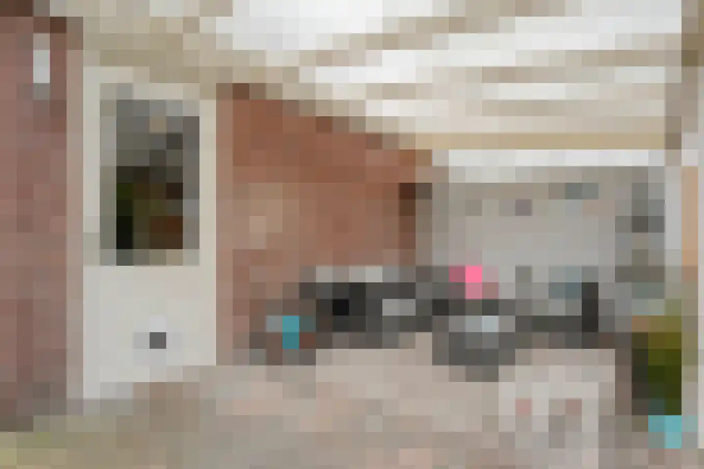 Lisdodde 12 Meppel thumbnail 37