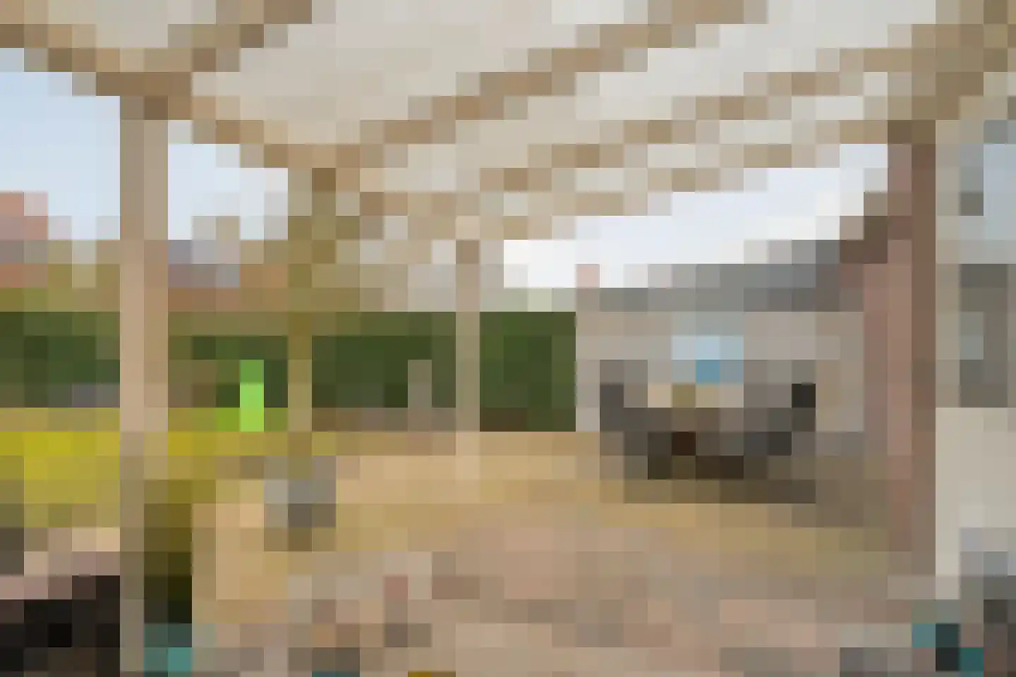Lisdodde 12 Meppel thumbnail 38