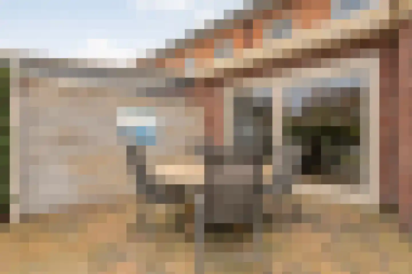 Lisdodde 12 Meppel thumbnail 39