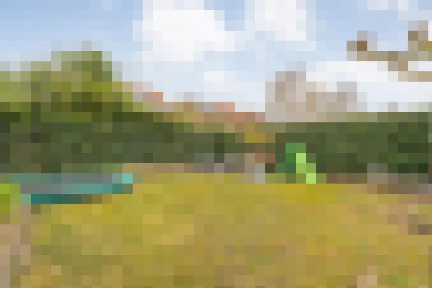 Lisdodde 12 Meppel thumbnail 40