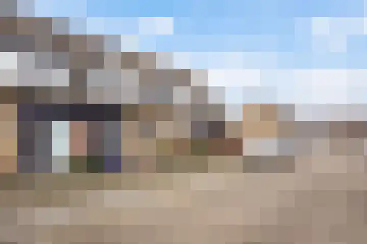 Lisdodde 13 in Maasland