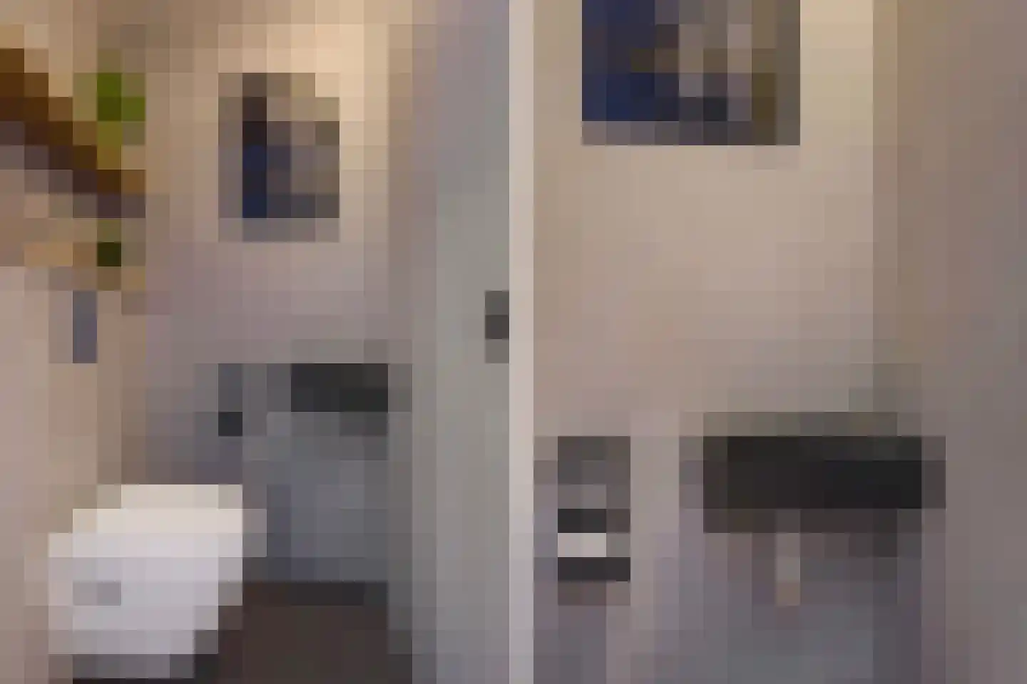 Lisdodde 13 Maasland thumbnail 11