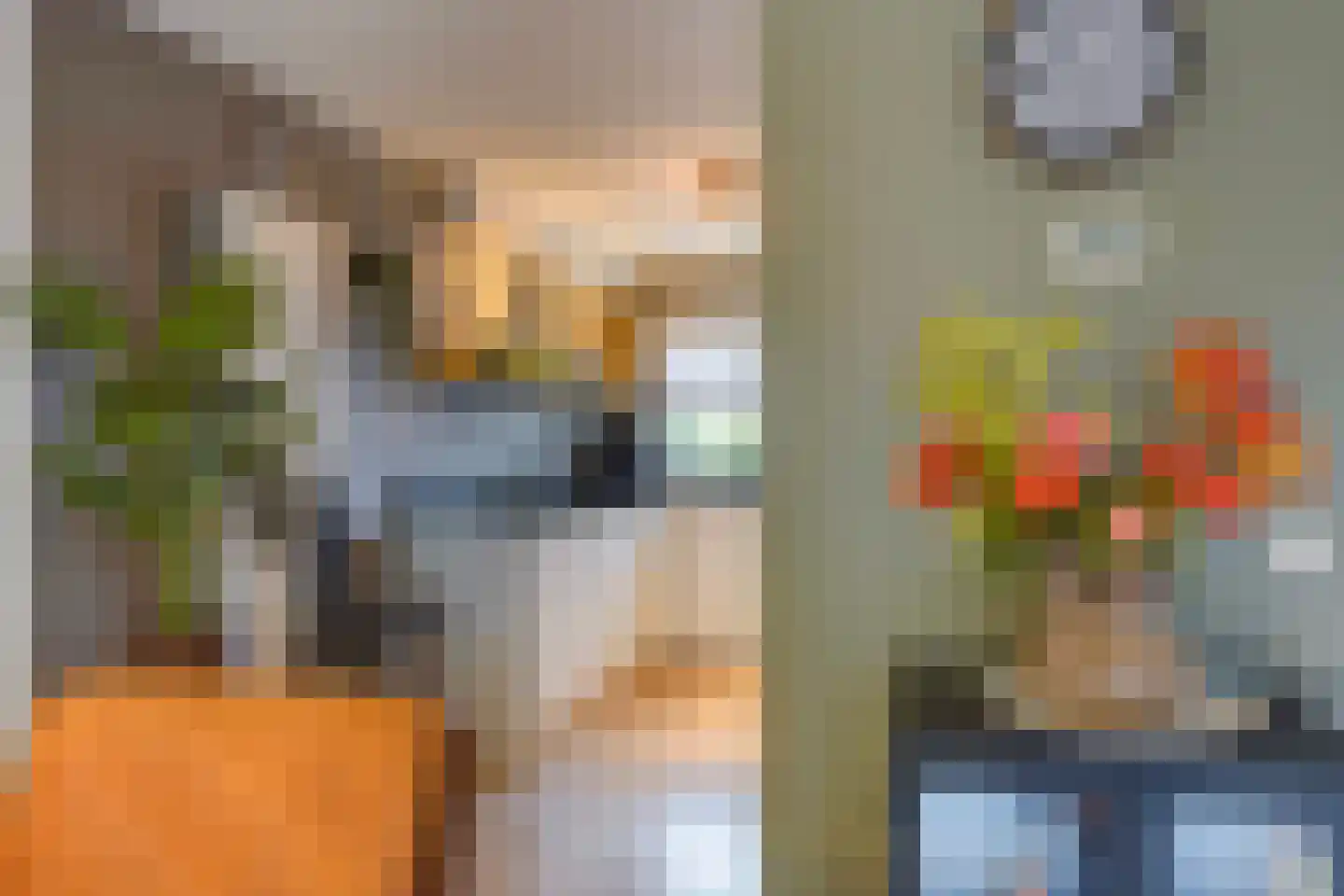 Lisdodde 13 Maasland thumbnail 17