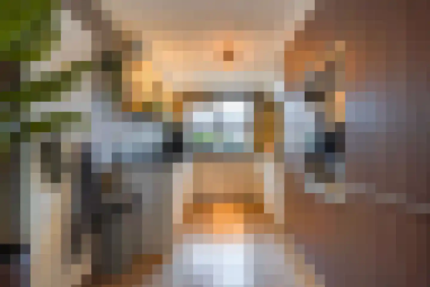 Lisdodde 13 Maasland thumbnail 19