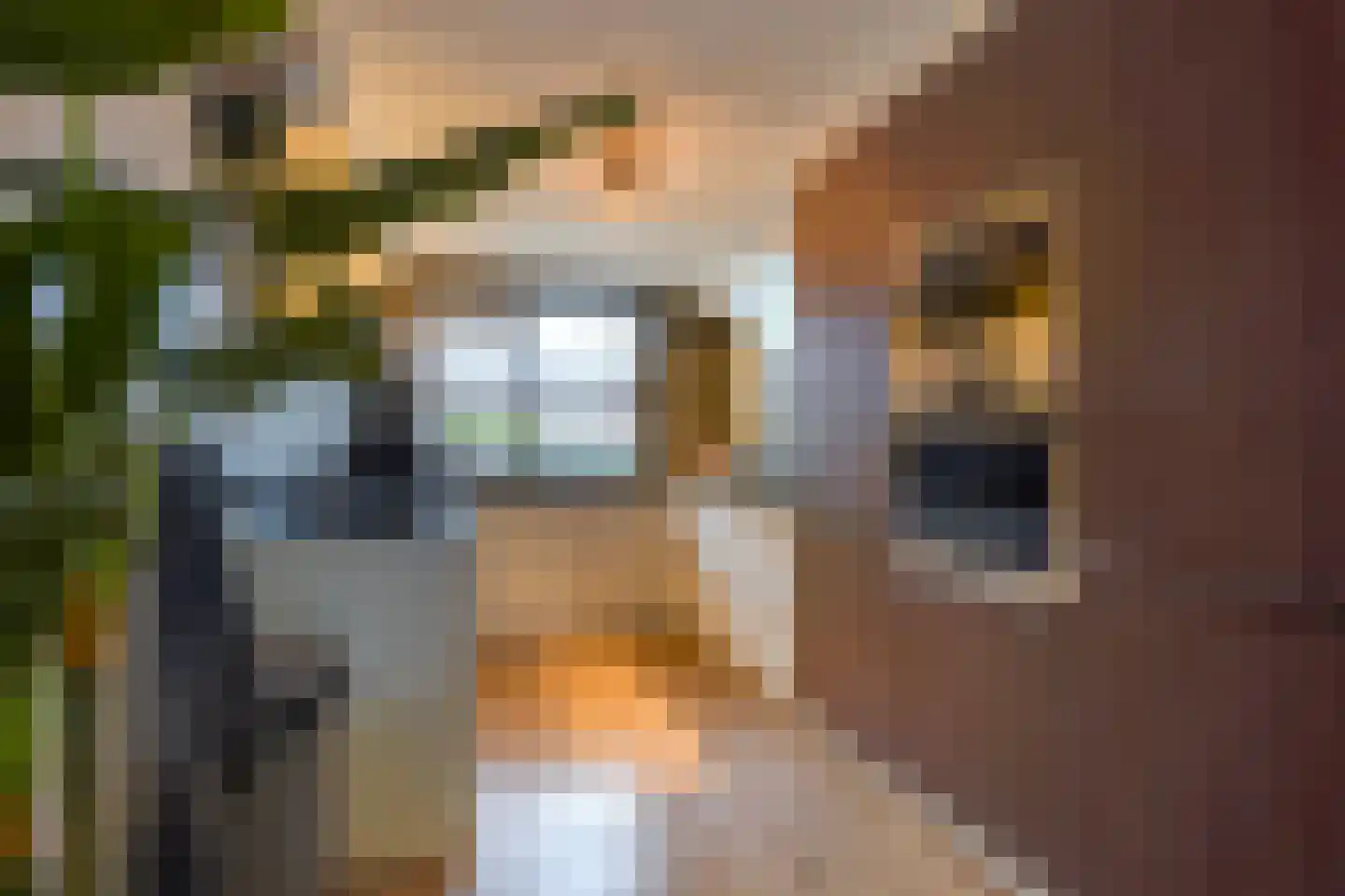 Lisdodde 13 Maasland thumbnail 20