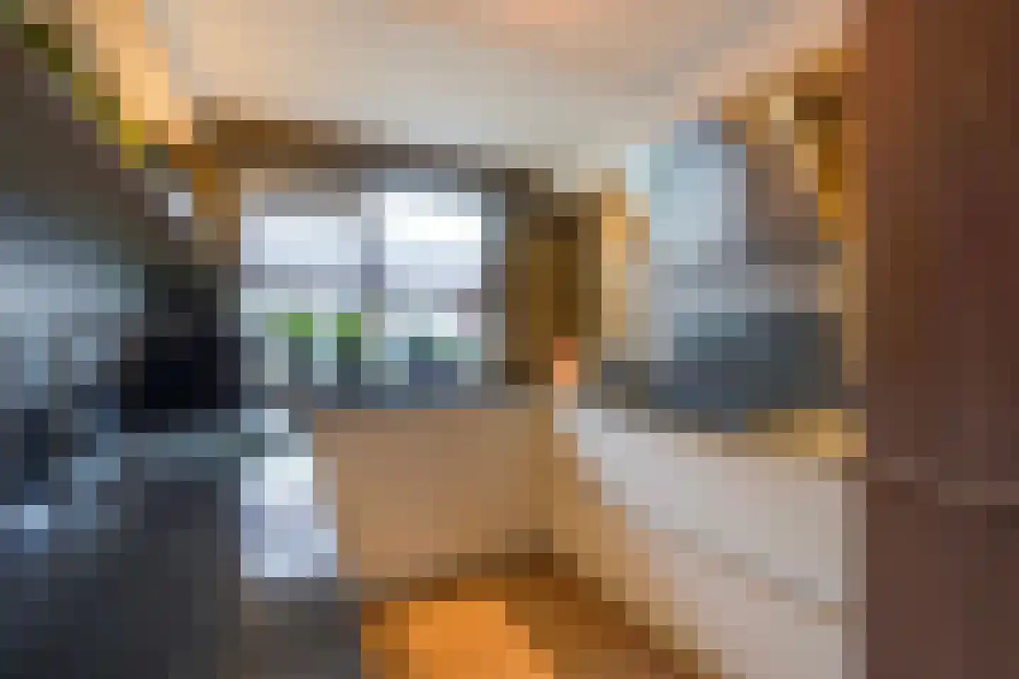 Lisdodde 13 Maasland thumbnail 21