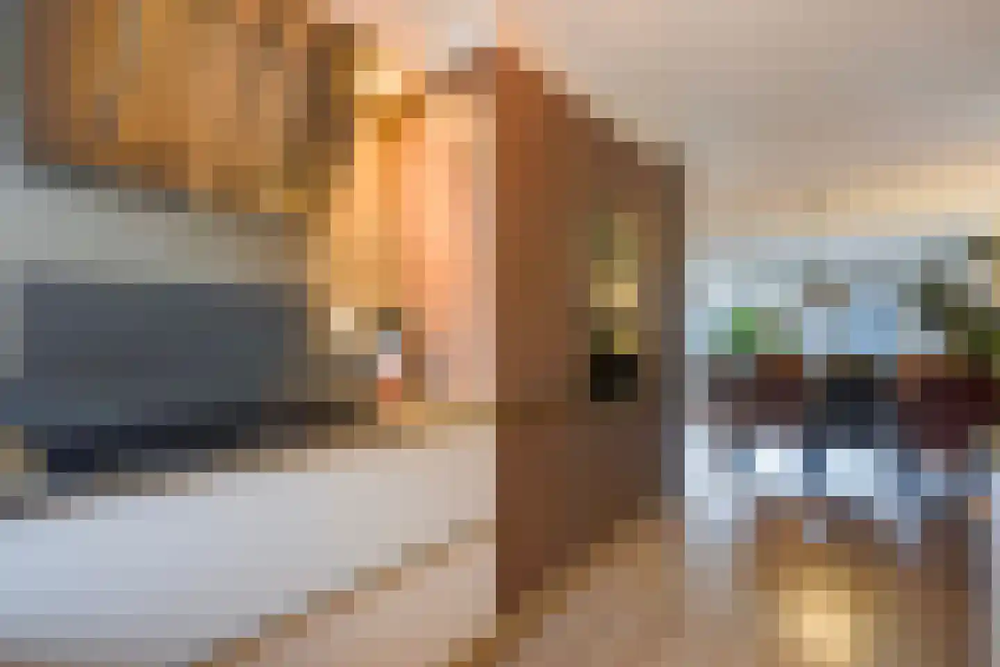Lisdodde 13 Maasland thumbnail 22