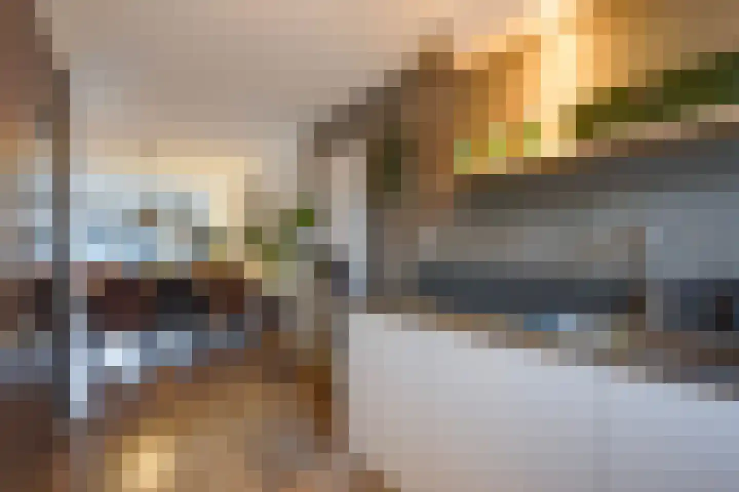 Lisdodde 13 Maasland thumbnail 23
