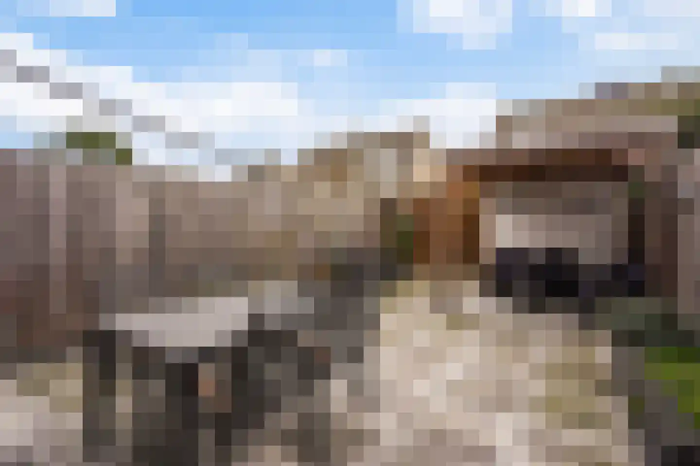Lisdodde 13 Maasland thumbnail 26
