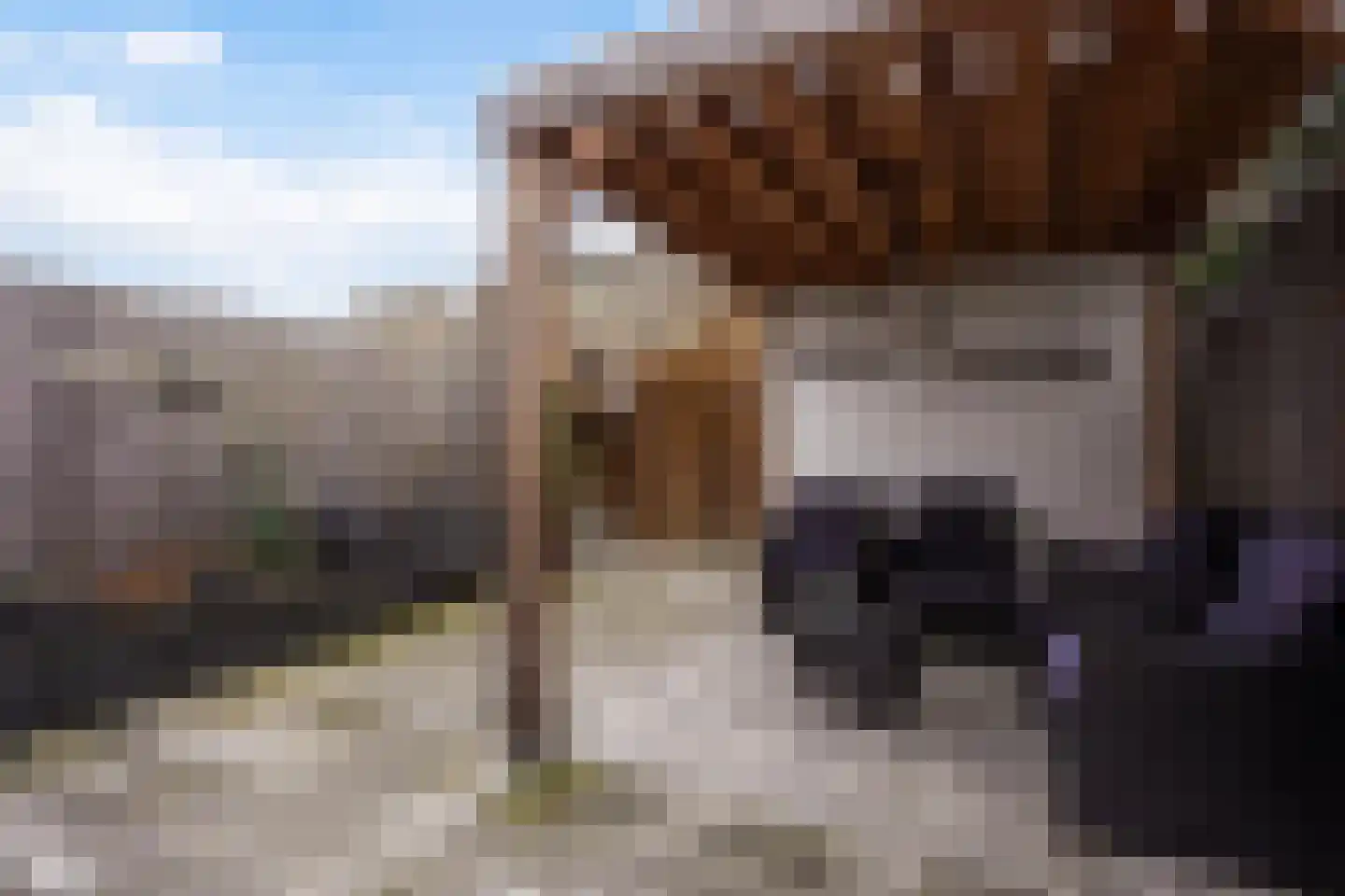 Lisdodde 13 Maasland thumbnail 29