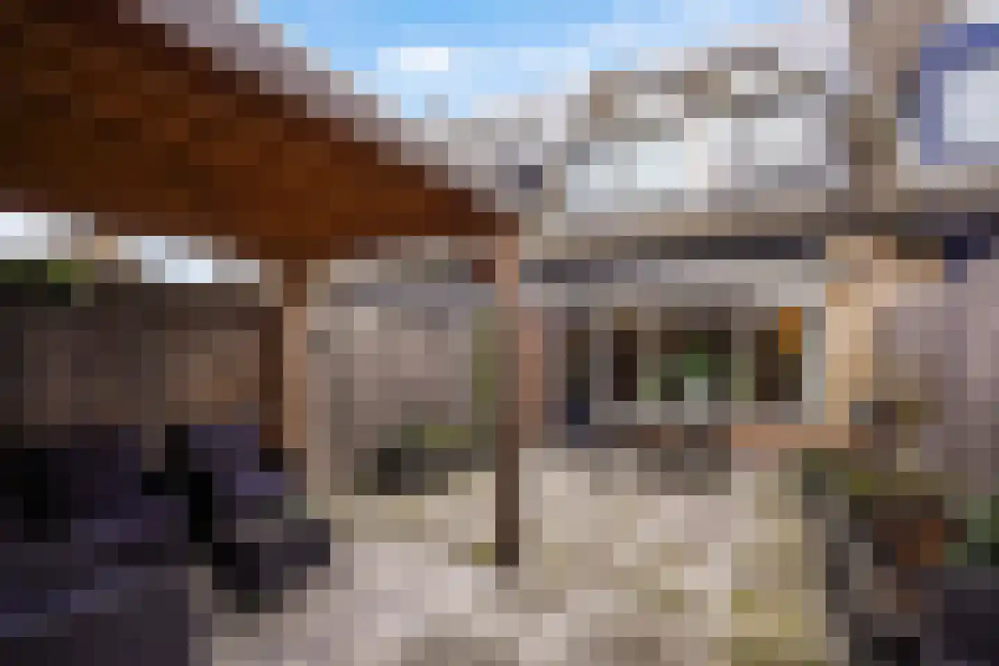 Lisdodde 13 Maasland thumbnail 30