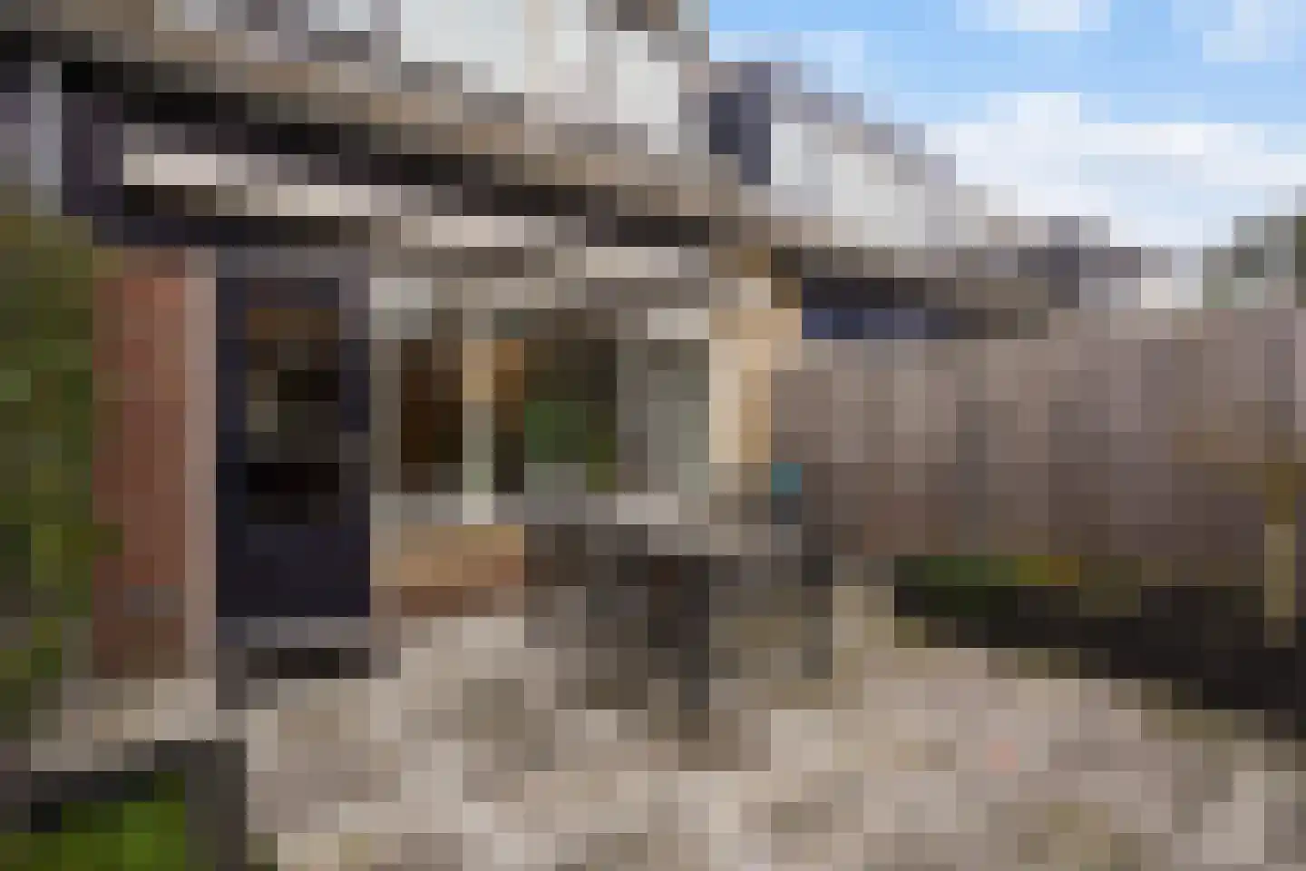 Lisdodde 13 Maasland thumbnail 31