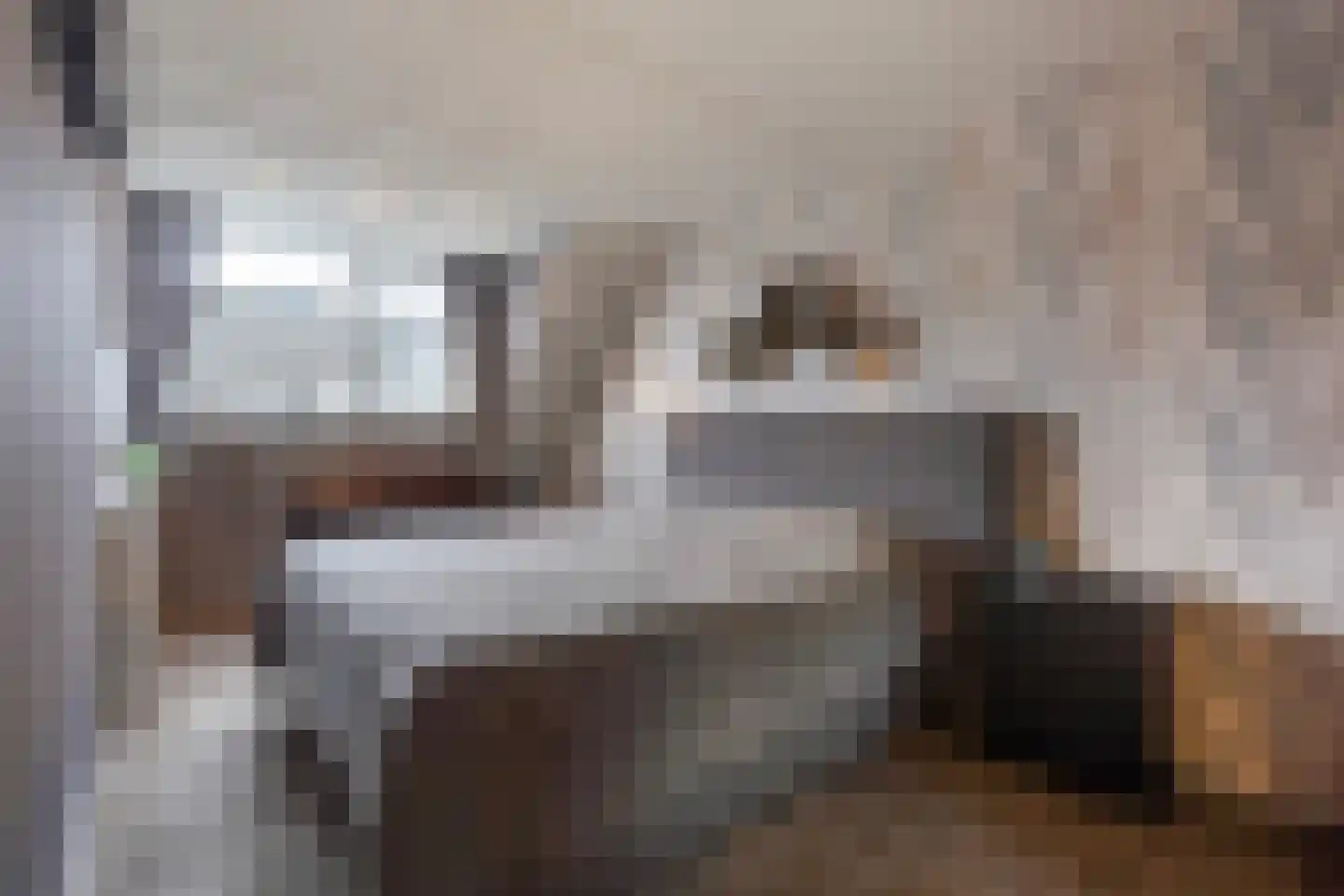 Lisdodde 13 Maasland thumbnail 33