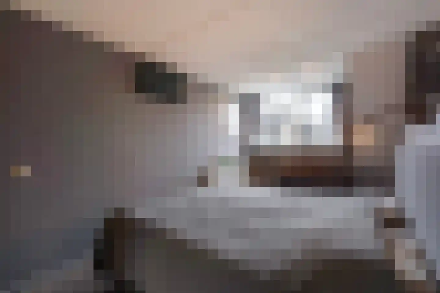 Lisdodde 13 Maasland thumbnail 34
