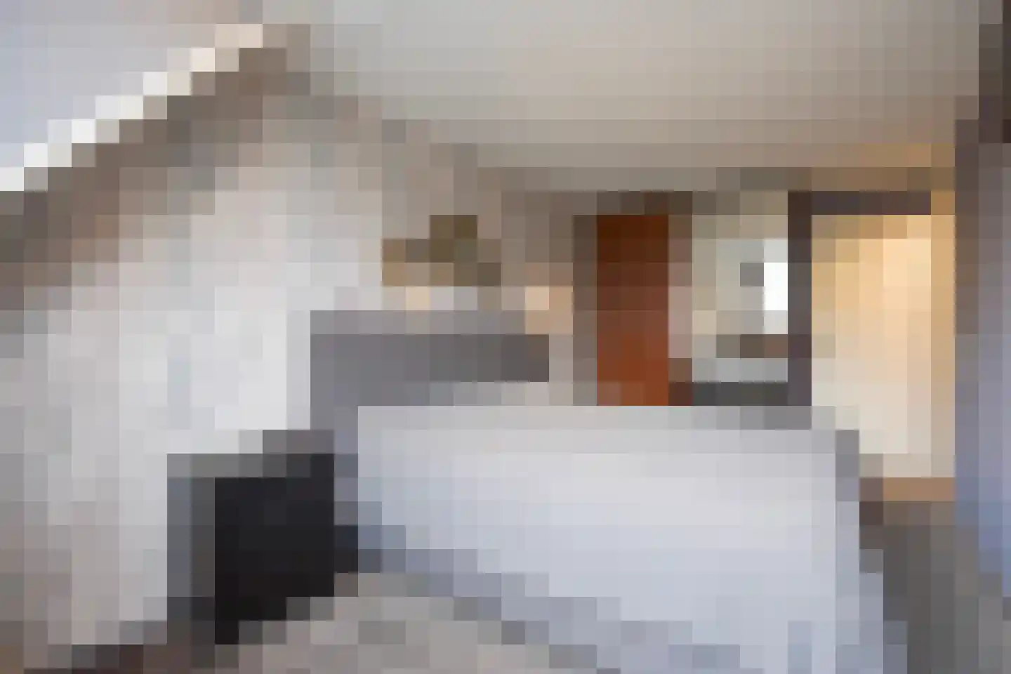 Lisdodde 13 Maasland thumbnail 35