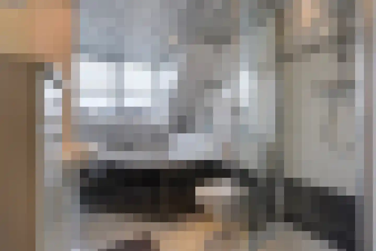 Lisdodde 13 Maasland thumbnail 36