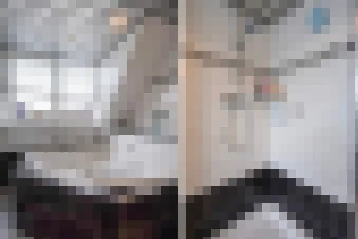 Lisdodde 13 Maasland thumbnail 38
