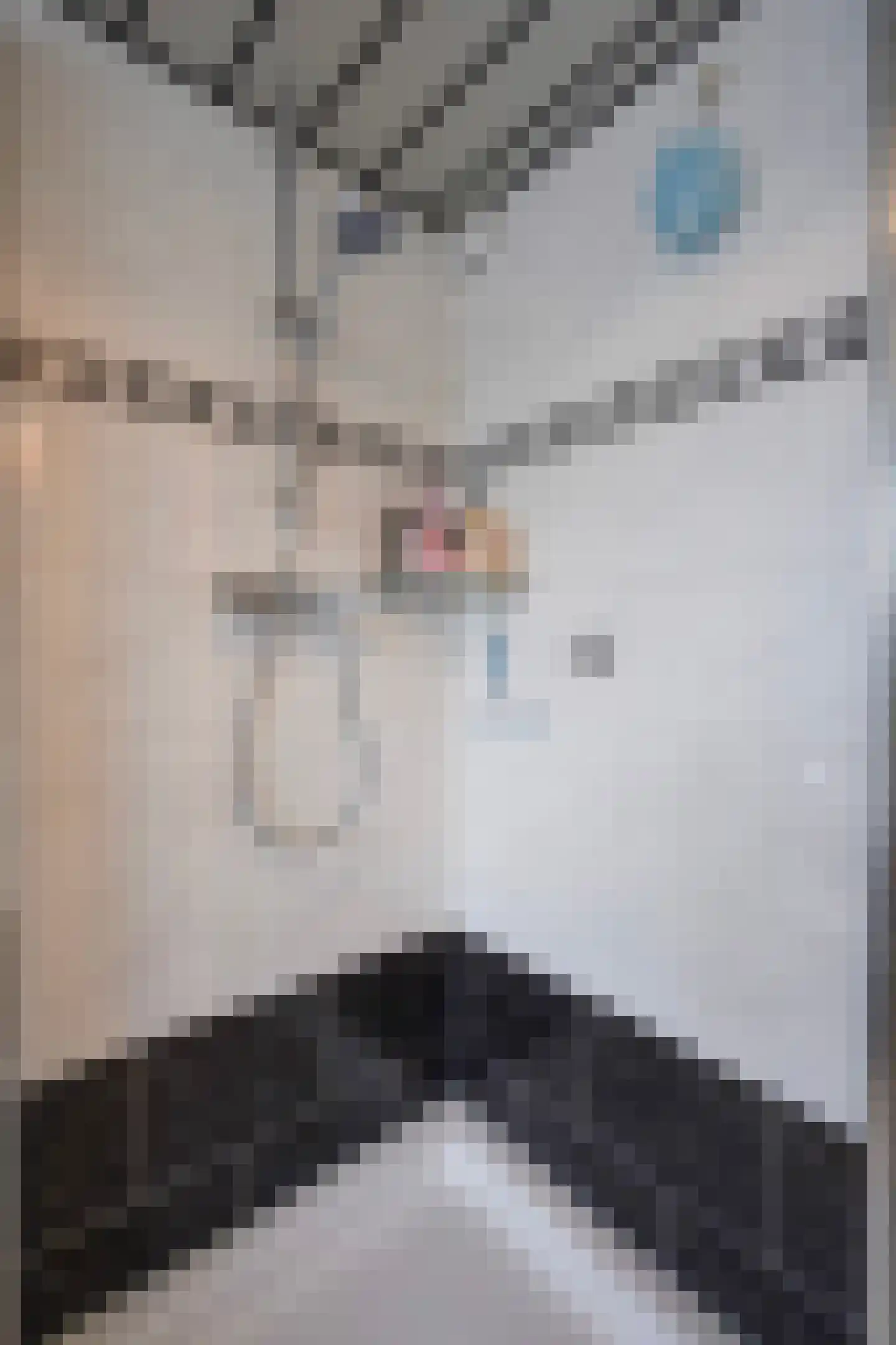 Lisdodde 13 Maasland thumbnail 39