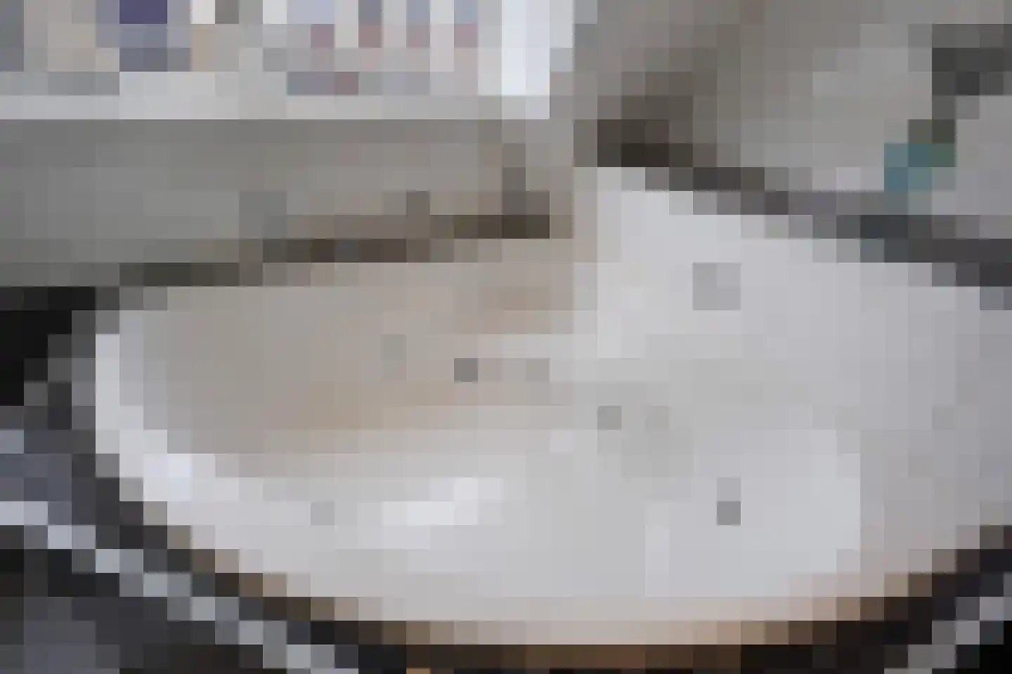 Lisdodde 13 Maasland thumbnail 40