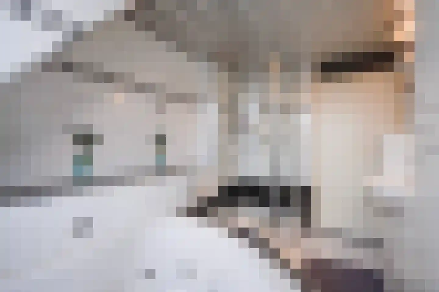 Lisdodde 13 Maasland thumbnail 41