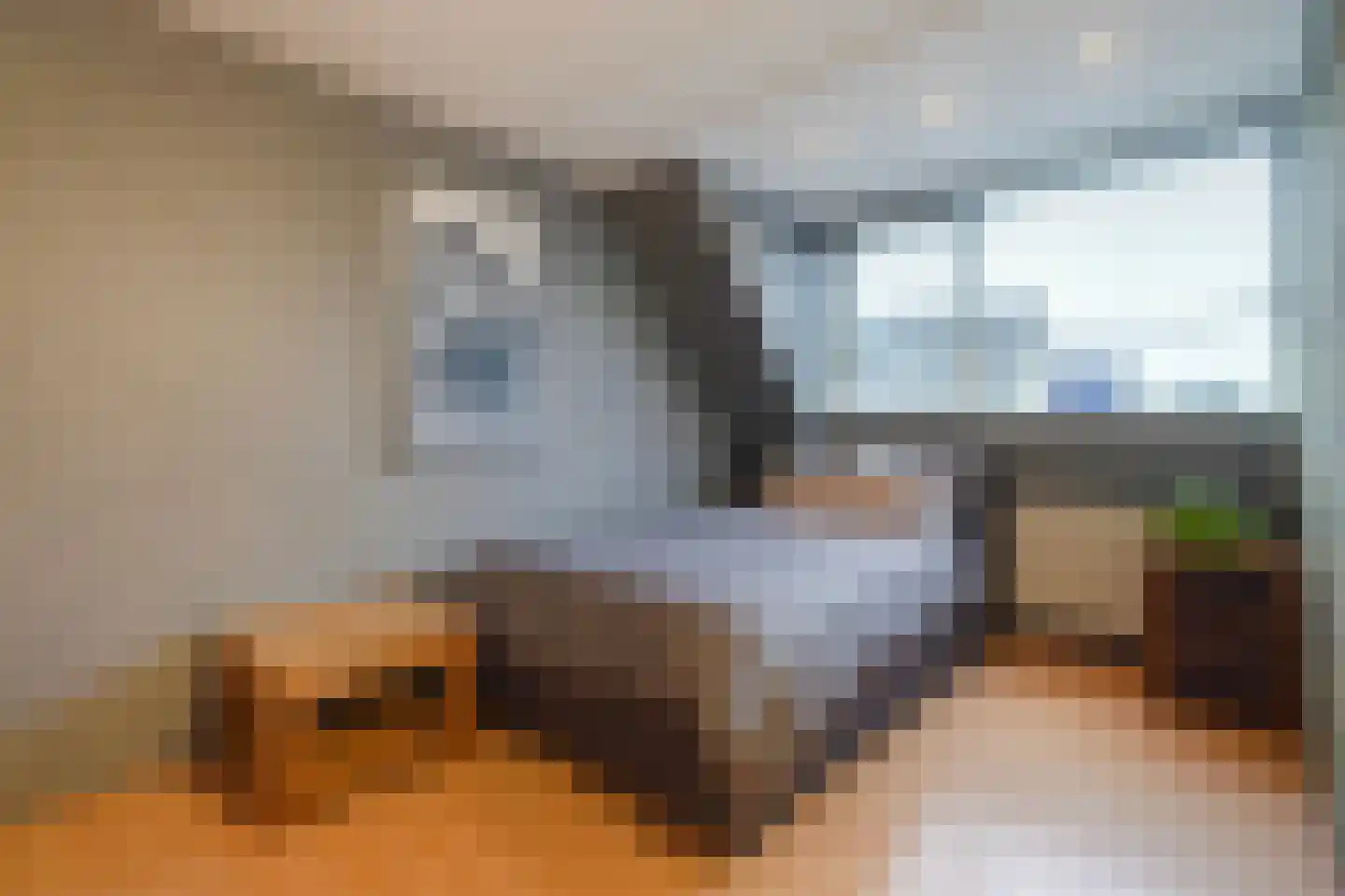 Lisdodde 13 Maasland thumbnail 43