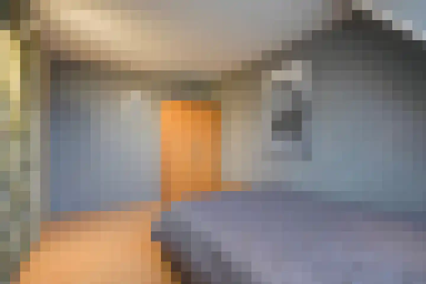 Lisdodde 13 Maasland thumbnail 45